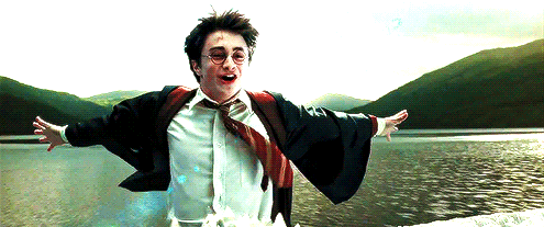 AgonizingHopefulAlleycat-size_restricted